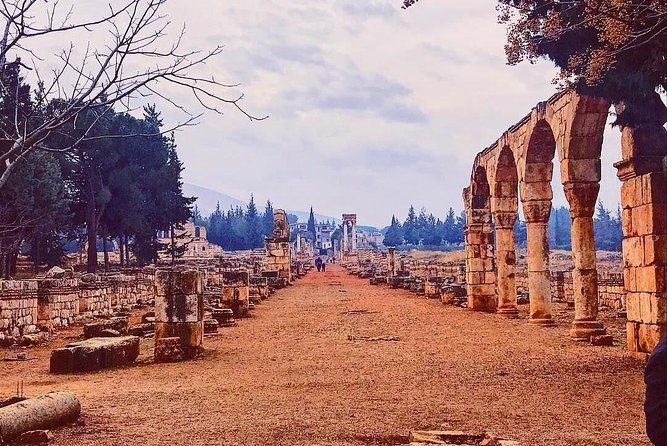 Baalback , Anjar & Chateau Ksara - Who will get the most from this outing