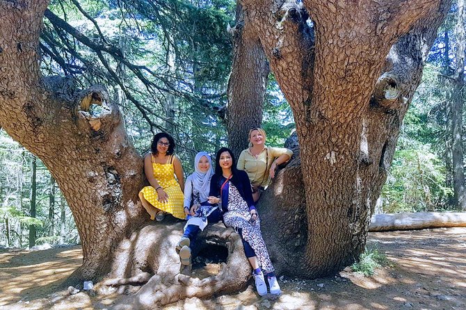Beirut to Qadisha Valley, Bcharri & Cedar: Daily Tours with Lunch - Deir Qozhaya at 950 meters
