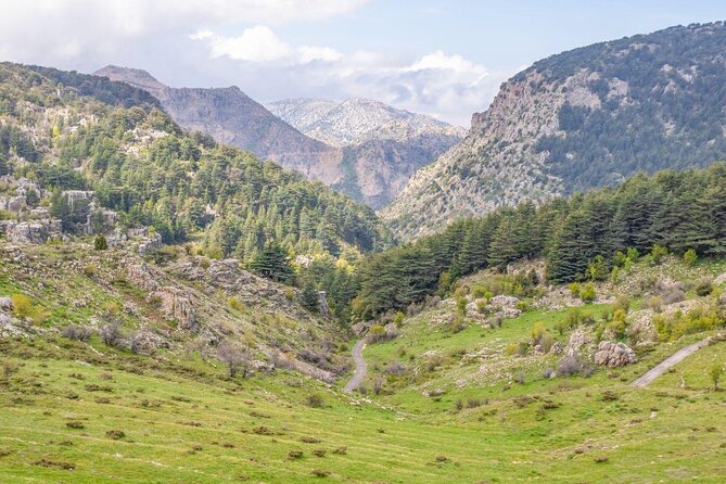 Cedars, Bsharre & Kozhaya Day Tour - Key points at a glance