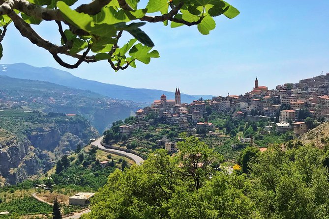 Cedars, Bsharre & Kozhaya Day Tour - Who will enjoy this full mountain day?