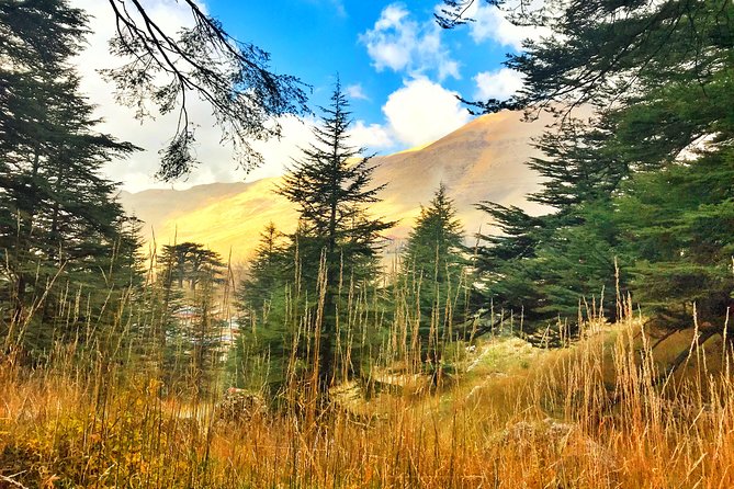 Cedars, Bsharre & Kozhaya Day Tour - Bsharre and the Kahlil Gibran Museum