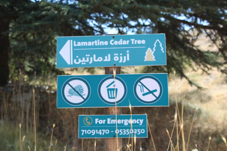 Cedars Shouf & Beiteddine w/pick-up, guide, entries+lunch - Lebanese lunch with mezze and grills