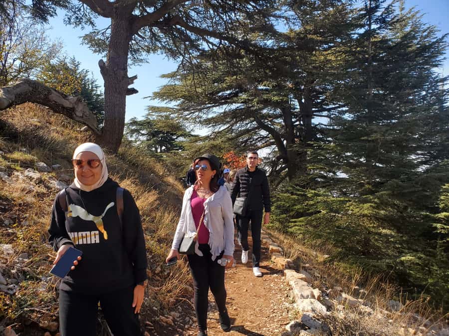 Cedars Shouf & Beiteddine w/pick-up, guide, entries+lunch - Is $140 good value?