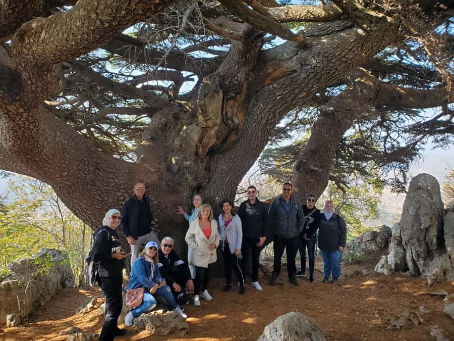 Cedars Shouf & Beiteddine w/pick-up, guide, entries+lunch - Who will enjoy this outing most