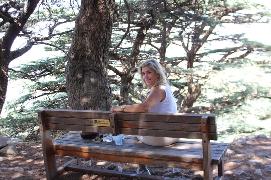 Cedars Shouf & Beiteddine w/pick-up, guide, entries+lunch - Deir el Qamar brings the mountain story into the streets