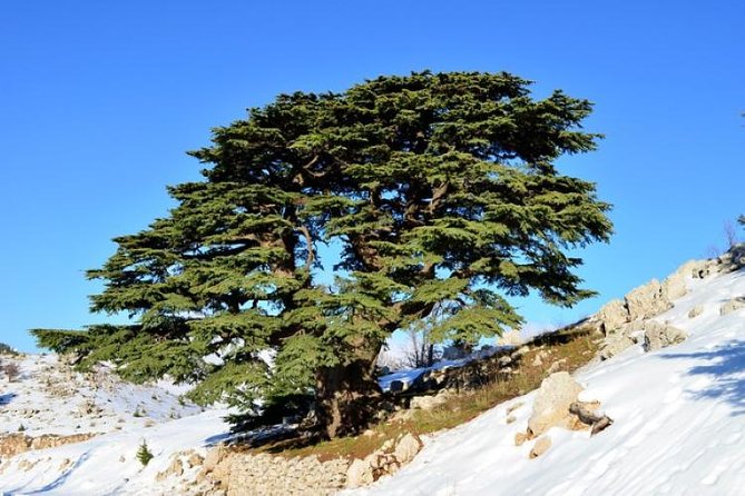 Chouf Charm: Private Journey Through Lebanon's Historic Heartland - Deir el Qamar, a village with several faiths in one walk