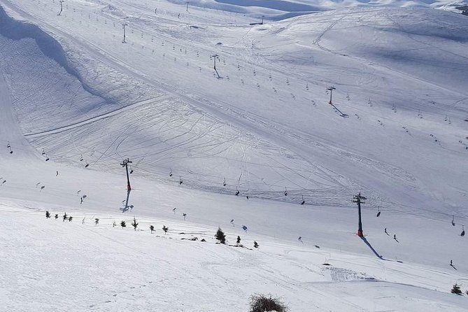 Faraya Ski Resort Lebanon - Should you book Faraya Ski Resort from Beirut?