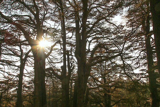 Full-Day Guided Tour of Northern Lebanon with Hotel Pickup - St. Anthony Kozhaya and the living monastic valley