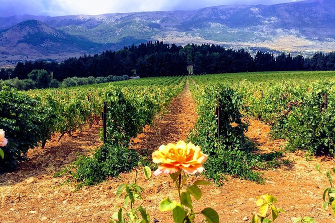 Full-Day Private Wine Tasting Tour - Château Ksara and the story beneath the ground