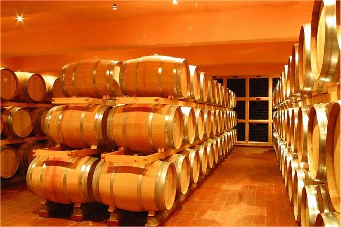 Full-Day Private Wine Tasting Tour - What the guide and service can add