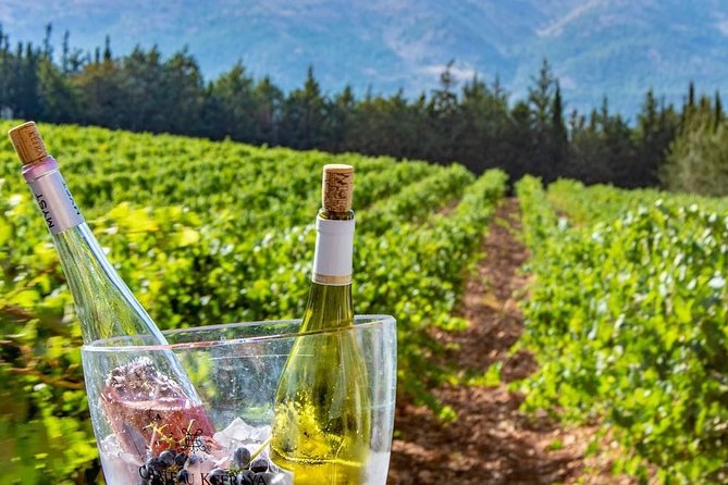 Full-Day Private Wine Tasting Tour - Is $104.17 per person good value?