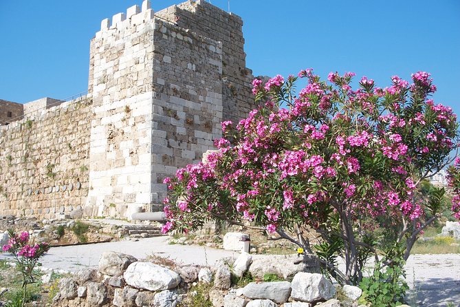 Guided Full-Day Private Tour to Jeita Grotto, Byblos and Baalbek - Why a private vehicle makes this long day workable
