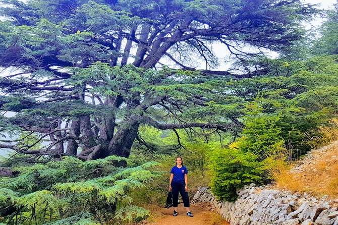 Guided Full-Day Private Trip to Cedars, Baalbek and Chateau Ksara - Sayyida Khawla and Baalbek’s living religious story