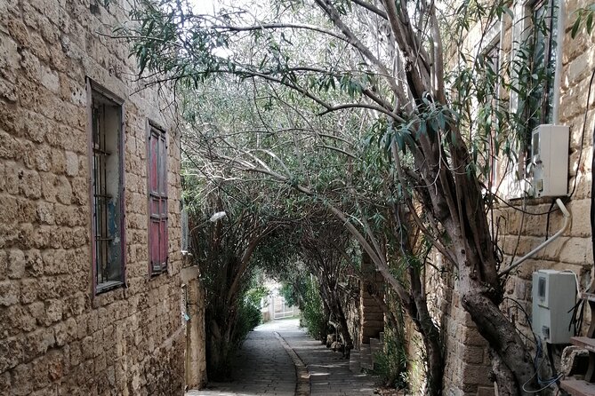 Guided Semi-Private Tour to Jeita, Harissa & Byblos - Byblos Marina and one of the world’s oldest cities