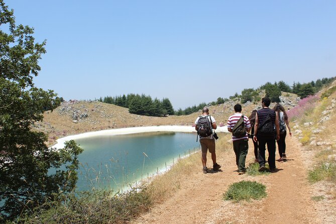 Guided small group to Cedars Reserve & Beiteddine w/lunch+entries - What the guide adds