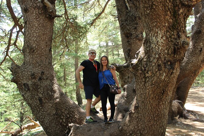 Guided small group to Cedars Reserve & Beiteddine w/lunch+entries - Who should book this experience?
