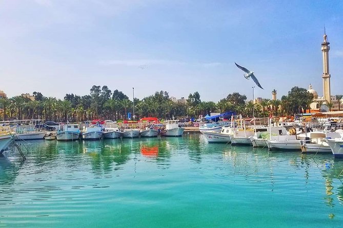 Guided Small-Group Tour to Tripoli and Batroun with Lunch - Hammams that show Tripoli’s public life