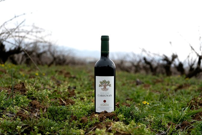 Journey Through Lebanese Wine: A Private Tour in the Beqaa Valley - Château Kefraya’s high terraces and changing temperatures