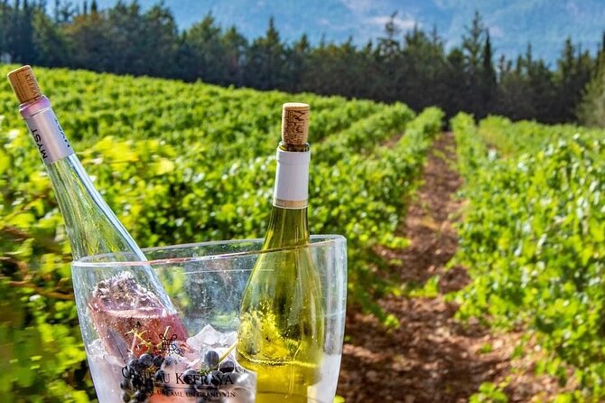 Journey Through Lebanese Wine: A Private Tour in the Beqaa Valley - Château St Thomas and a family legacy