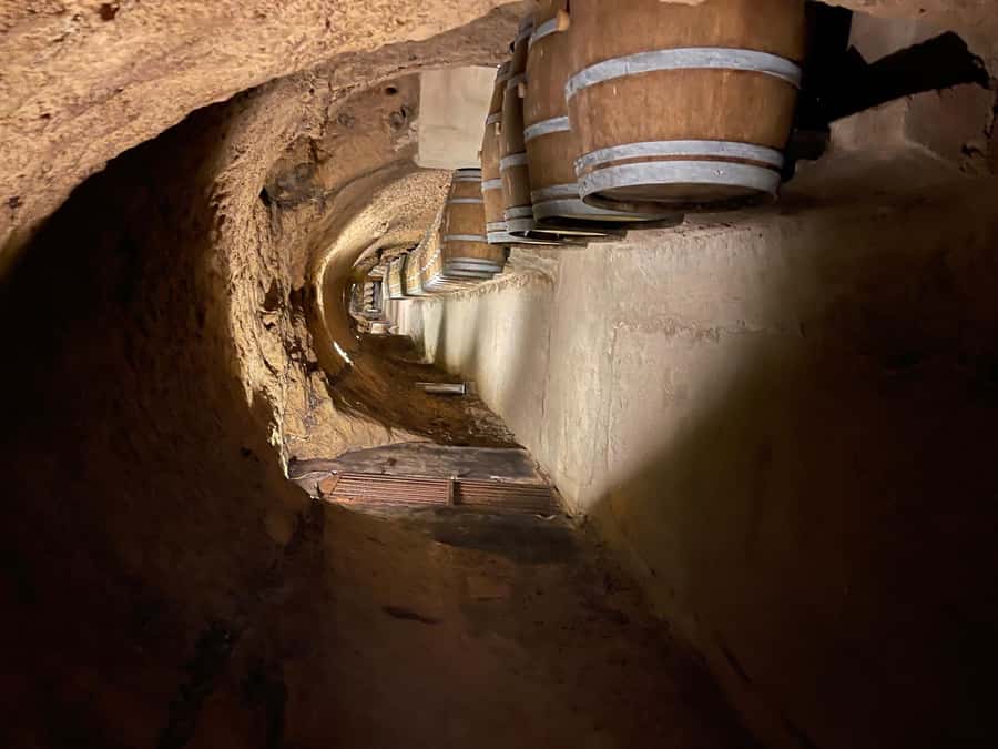 Lebanese wineries guided tour with tastings & lunch - What the $140 price covers