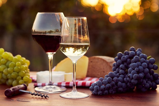 Lebanon Wine Tasting Tour From Beirut - Zahle gives the schedule a needed pause