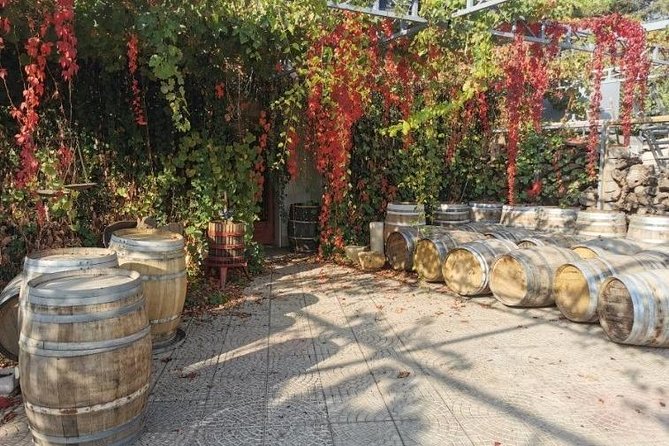 Lebanon Wine Tasting Tour From Beirut - What the guide can add to the day