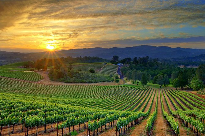 Lebanon Wine Tasting Tour From Beirut - Is the $91.03 price good value?