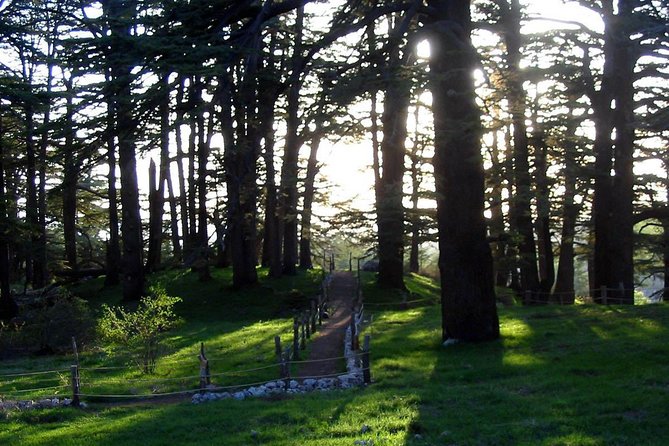PRIVATE Tour to Cedars of God, Besharre & Qozhaya Valley - Key points to know before you book