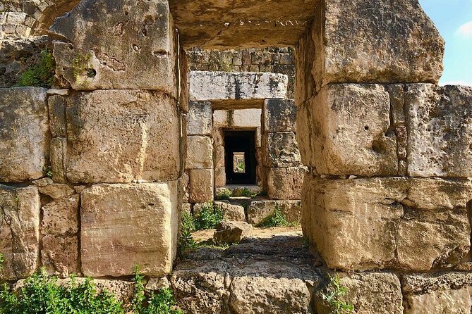 Private Tour: Tyre, Sidon and Maghdouche Day Trip from Beirut - The guide can make or break the ruins