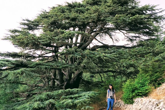 Private Trip to Beiteddine, Deir el Qamar & Maaser el Chouf Cedars - Key points at a glance