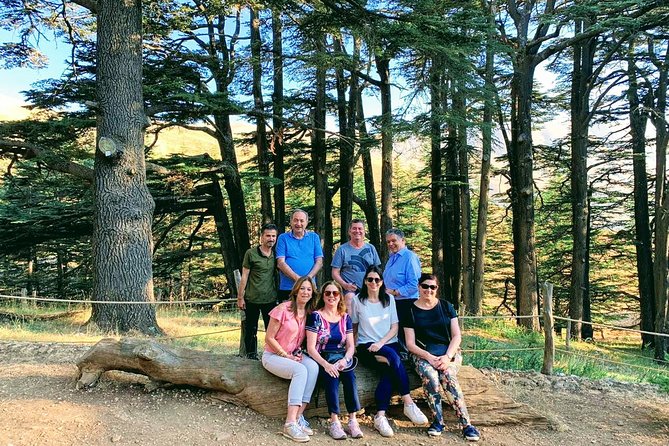 Private Trip to Qadisha Valley, Bcharri and Cedars of God - Mseilha Fort and the road north
