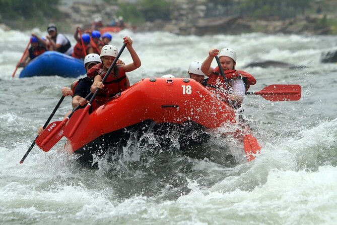 Rafting Activity From Beirut, Lebanon - Leaving Beirut early for the Assi River