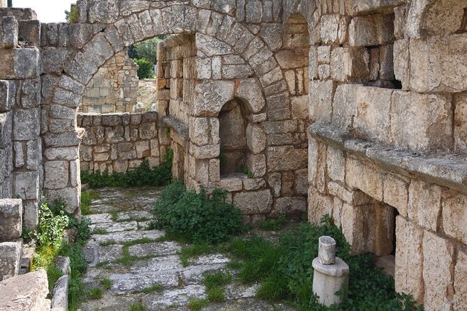 Sidon, Tyre & Maghdouche Day Trip - With Lunch (4G on Board) - Who should choose this southern Lebanon day trip