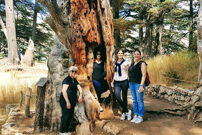 Small-Group Tour with Lunch to Qadisha Valley, Bcharre and Cedars - Leaving Beirut for Mount Lebanon