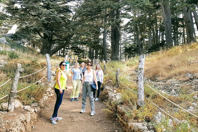 Small-Group Tour with Lunch to Qadisha Valley, Bcharre and Cedars - Timing, group size, and what to expect at each stop