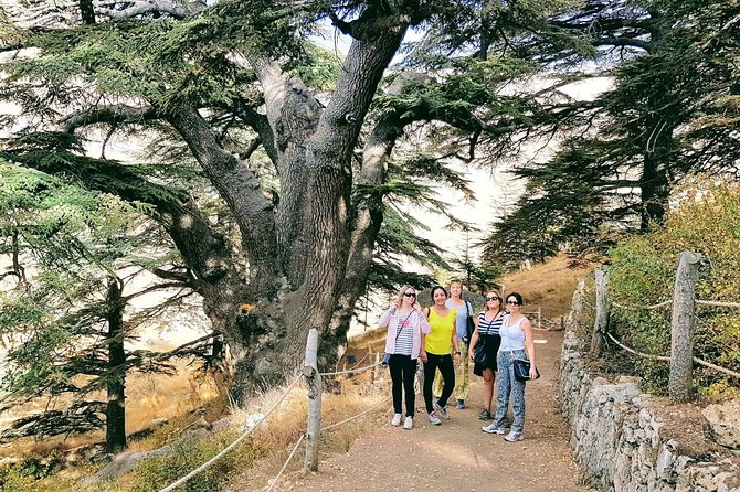 Small-Group Tour with Lunch to Qadisha Valley, Bcharre and Cedars - Qadisha Valley and the roots of Christian monastic life