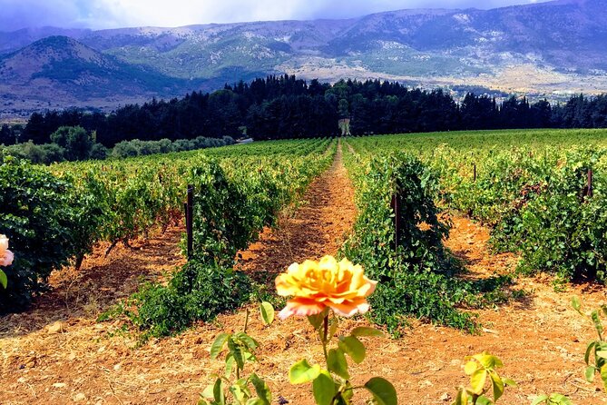 Wine Tasting and Culture - Why Baalbek and wine work so well together