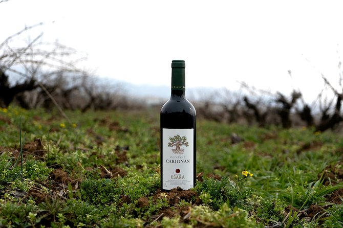 Wine Tasting and Culture - Château Ksara and Lebanon’s oldest winery tradition